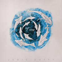 Torus Artwork Jamie Duffy